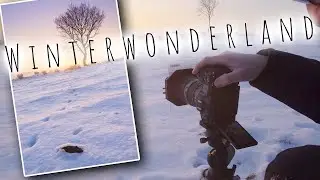 Tracks in the snow - First impressions of the Canon R5