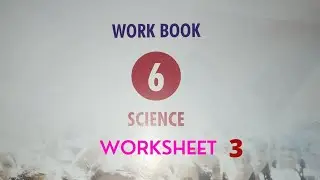 6th Science workbook answers/ worksheet 3/Gj studies 😀
