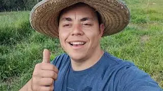 vamos estar mudando as criações de galinha do sítio