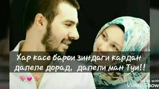 Кош медунисти