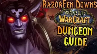 wow dungeon farming for gold