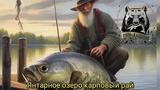 Русская рыбалка 4 Озеро Янтарное сначала не клевало а потом как клюнуло