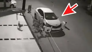 Бу Хайвонлар Одамлардан Қасос Олишди / Qiziqarli Video