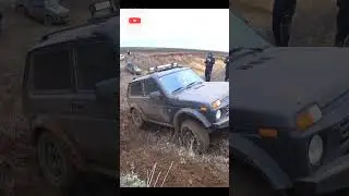 👉НИВА или Нива БРОНТО.  
