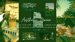 Aesthetic Green |  A Lightroom Tutorial  |  Film Emulation