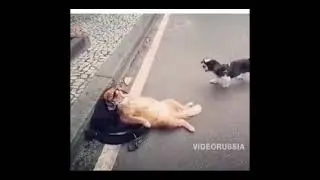 Жизненная позиция