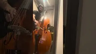 Bass and Eventide Omnipressor hardware W/Envelope Verb