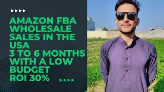 Amazon Fba Wholesale Sales in USA Market 3 to 6 Months with low budget Roi 30%