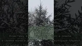 красивое чтение сура 2 аль Бакара аят 164