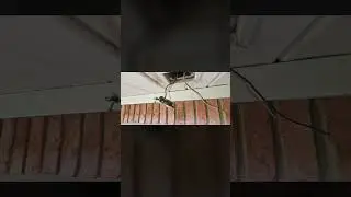 Recently installed this motion activated flood light