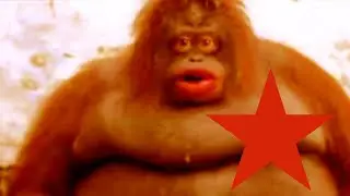 Soviet Monke [EARRAPE WARNING]