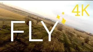 FLY - Cinematic FPV Drone and Wing Chase - 4K