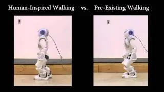 NAO: First Human-Inspired Robotic Walking