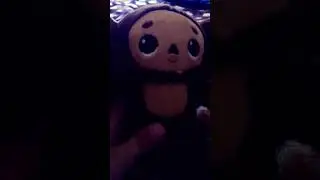 У меняЕсть живой чебурашка