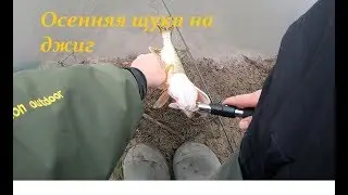 Осенняя рыбалка на джиг. щука . 2019