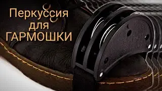 Губная гармошка про 