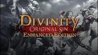 СТРИМ. Играем по сети в Divinity - Original Sin Enhanced Edition. 4 серия.
