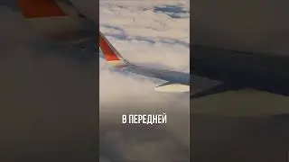 Только для взрослых!