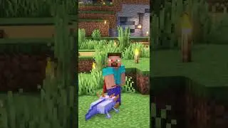 Ce joueur qui a déjà tout fait sur Minecraft 