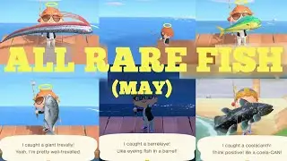 Catching ALL 5 Rare Fish [MAY] - Animal Crossing New Horizons