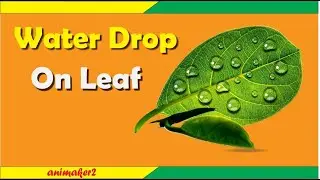 water drop on leaf | 3d logo design in coreldraw | animaker2