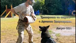 Тренировочные будни Викинга и Дэлики Из Тигровой Династии