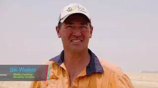 Sakura Flow Herbicide - 15 Sec