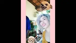 COMENDO ATÉ O BUCHO FICAR AZUL 😂😂🤣🤣🤣🤣🤣🤣🤣🤣🤣🤣🤣