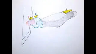 "Лесной" полтергейст. Остановленное мгновение.