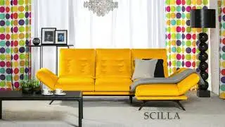 VERO   model Scilla