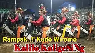 Banjir Penonton‼️ Jathilan Dusun Kalilo memukau Penonton
