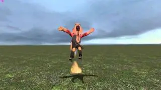 Vagineer's Backflip