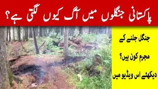 Danger of forest fires in Pakistan | Kumrat, the beauty at risk | best tourists' spots Pakistan