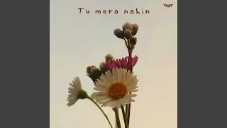 Tu Mera Nahin