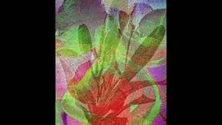 DIGITAL FLOWER EFFECTS