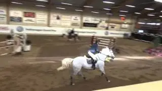 Canobet, mare -06 by Cardento - Baloubet du Rouet. 1.45m placed