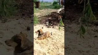 Работа не волк☝️😂