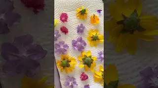 When you can't find dried flowers, you have to make them 🤭 What would you use them for?