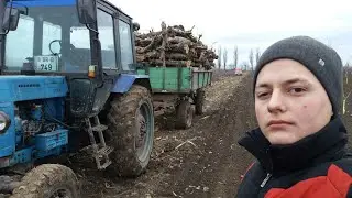 ✔ВЫВОЗКА ДРОВ на МТЗ 82.1 и ПРИЦЕП 2ПТС4.5