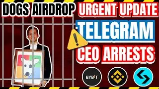 Dogs Argent update video || Watch fast  || important Updates || #dogs #telegram #crypto
