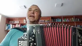 Перелетние птицы под гармонь