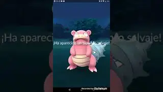 El Gyarados que me decepcionó...