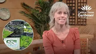 Cool Weather Vegetables: Liz Cardinal