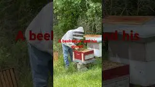 A Beekeeper (Mr. Ed) & His Second Queen  