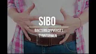 Sibo med Fedon