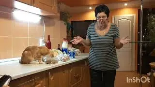 Разгулялась гулёна 😂 Возраст обнуляется 🤣 Мы на позитиве