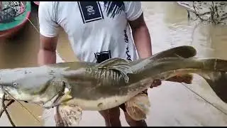 Karen State
