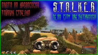 Stalker Dead City Breakthrough. Уничтожил кровососов. Бой с бандитами. Тайник стрелка.