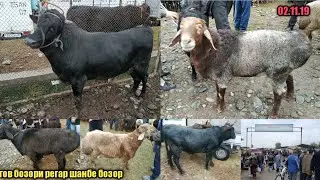 гов бозори регар шанбе бозор хатман томошо кунет 02 ноября