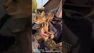 Каракет ф1 Дэми, эта девочка любит только меня